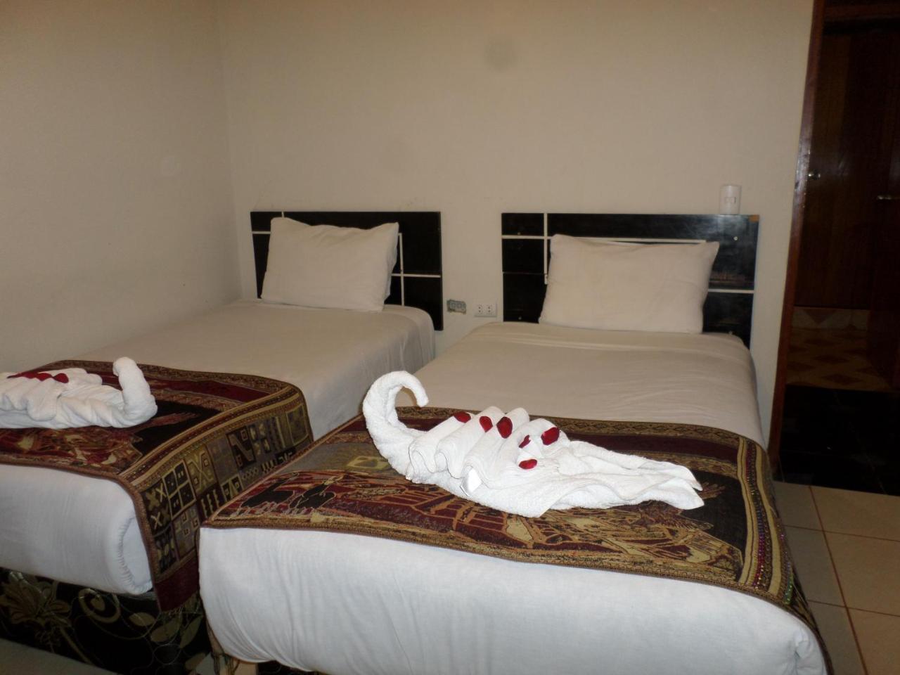 New Day Machu Picchu Otel Aguas Calientes Dış mekan fotoğraf